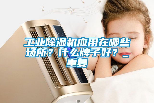 工業(yè)除濕機(jī)應(yīng)用在哪些場(chǎng)所？什么牌子好？_重復(fù)