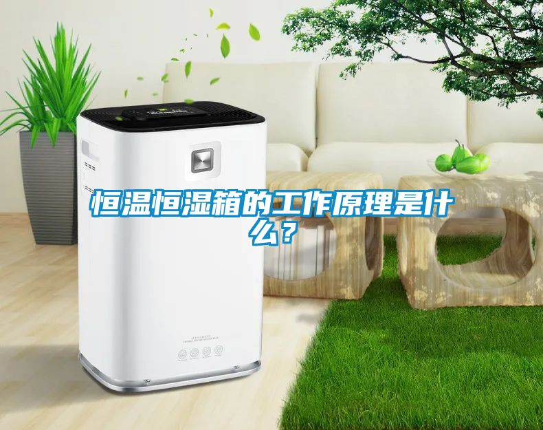 恒溫恒濕箱的工作原理是什么？