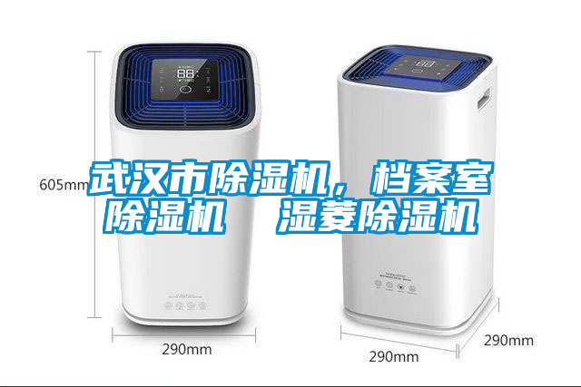 武漢市除濕機(jī)，檔案室除濕機(jī)  濕菱除濕機(jī)