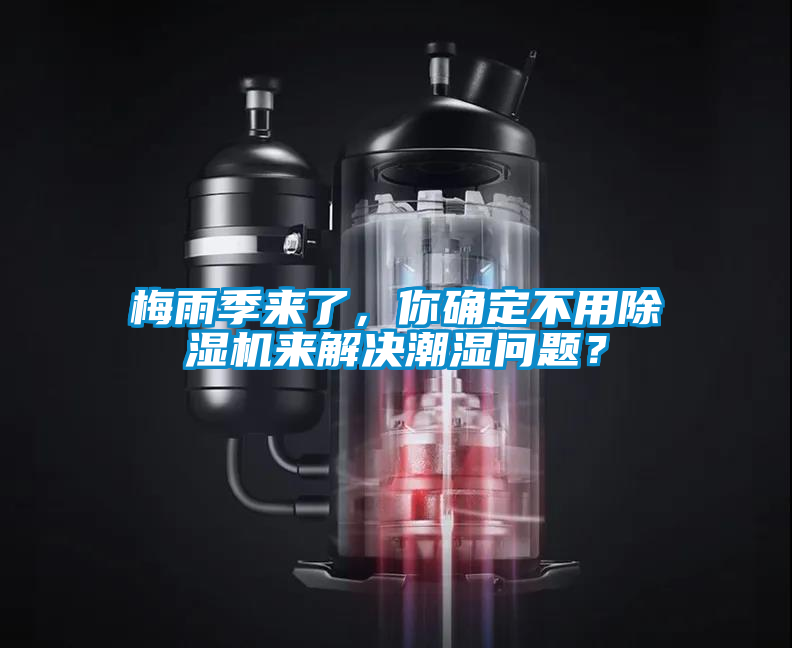梅雨季來了，你確定不用除濕機來解決潮濕問題？