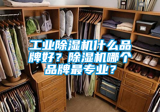 工業(yè)除濕機什么品牌好？除濕機哪個品牌最專業(yè)？
