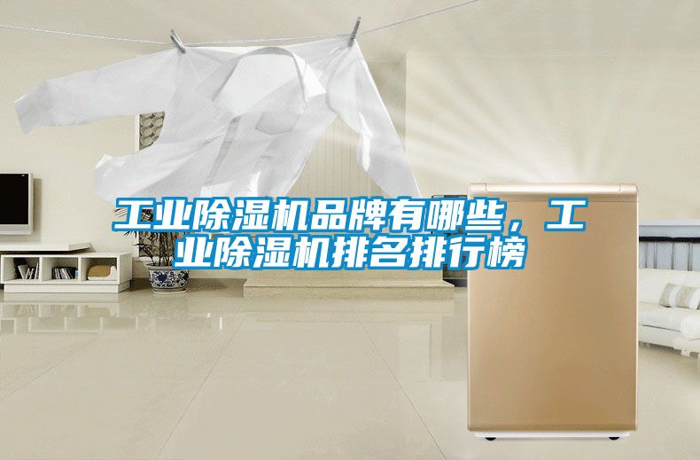 工業(yè)除濕機(jī)品牌有哪些，工業(yè)除濕機(jī)排名排行榜