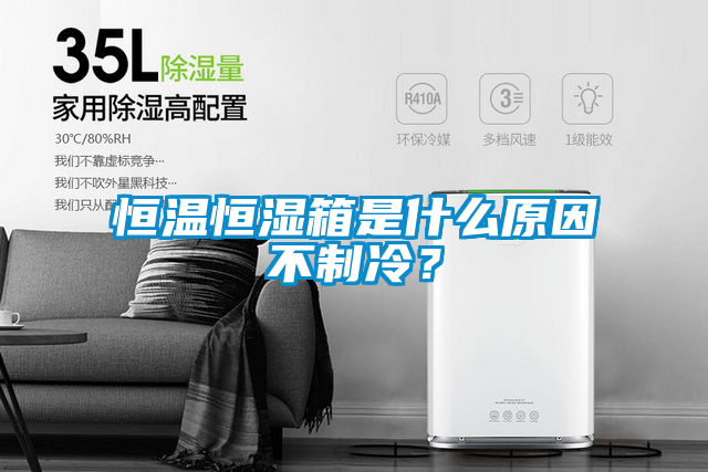 恒溫恒濕箱是什么原因不制冷？