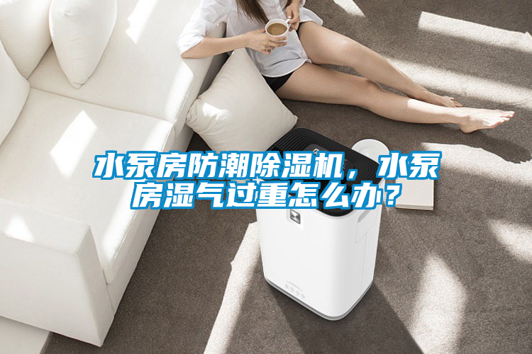 水泵房防潮除濕機(jī)，水泵房濕氣過重怎么辦？