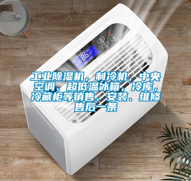 工業(yè)除濕機(jī)，制冷機(jī)，中央空調(diào)、超低溫冰箱，冷庫(kù)，冷藏柜等銷(xiāo)售、安裝、維修售后一條