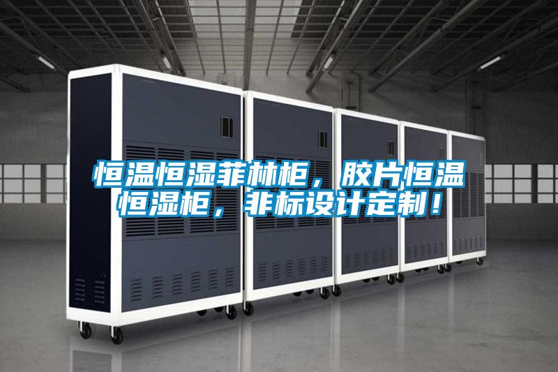 恒溫恒濕菲林柜，膠片恒溫恒濕柜，非標設(shè)計定制！