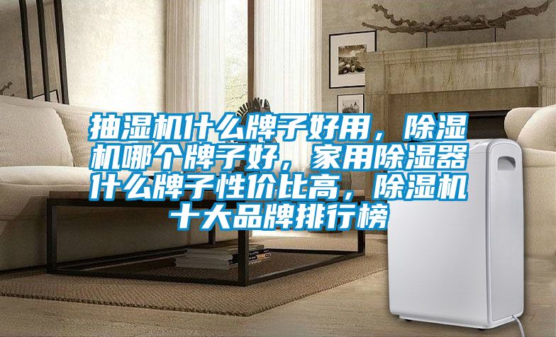 抽濕機(jī)什么牌子好用，除濕機(jī)哪個(gè)牌子好，家用除濕器什么牌子性價(jià)比高，除濕機(jī)十大品牌排行榜
