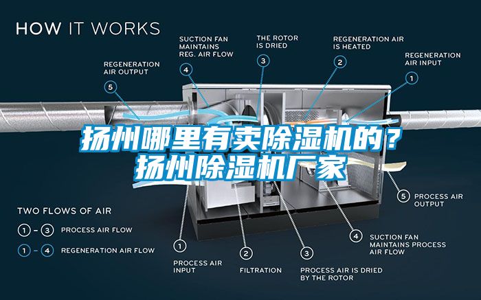 揚(yáng)州哪里有賣(mài)除濕機(jī)的？揚(yáng)州除濕機(jī)廠(chǎng)家