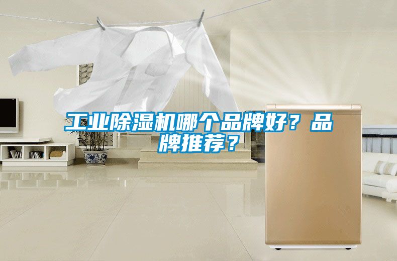 工業(yè)除濕機哪個品牌好？品牌推薦？
