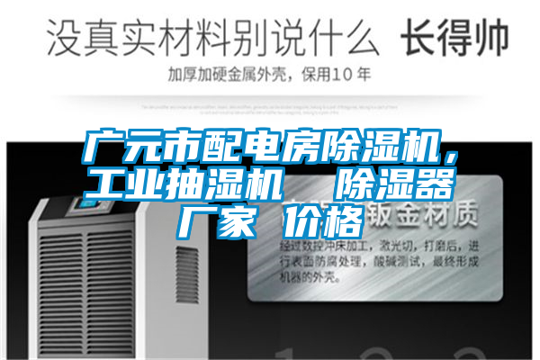 廣元市配電房除濕機(jī)，工業(yè)抽濕機(jī)  除濕器廠家 價(jià)格