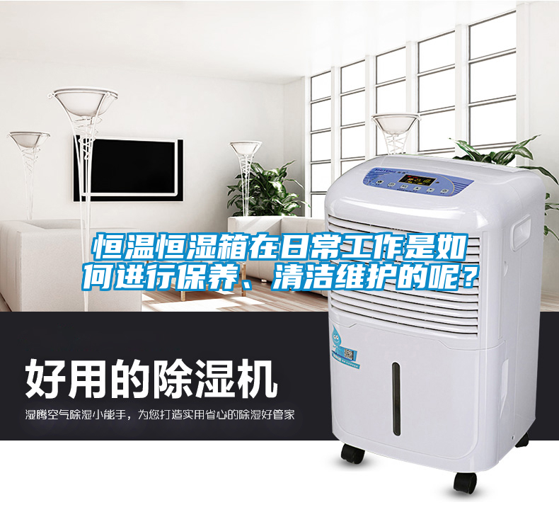 恒溫恒濕箱在日常工作是如何進行保養(yǎng)、清潔維護的呢？