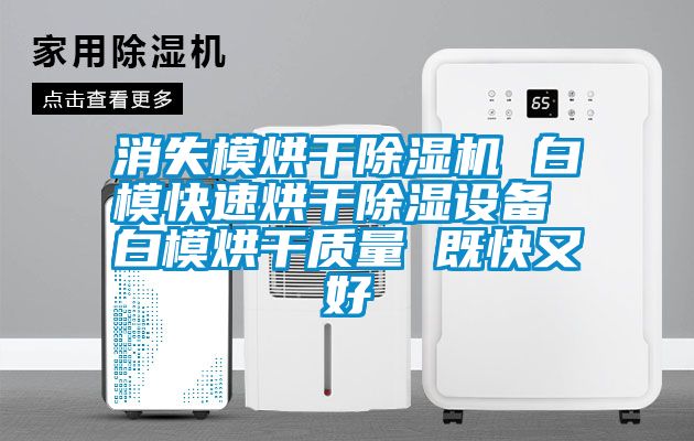 消失模烘干除濕機 白?？焖俸娓沙凉裨O備 白模烘干質(zhì)量 既快又好