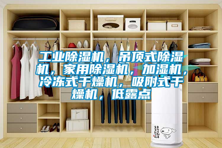 工業(yè)除濕機(jī)，吊頂式除濕機(jī)，家用除濕機(jī)，加濕機(jī)，冷凍式干燥機(jī)，吸附式干燥機(jī)，低露點(diǎn)