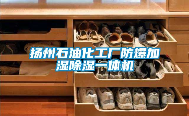 揚(yáng)州石油化工廠(chǎng)防爆加濕除濕一體機(jī)