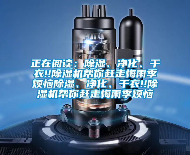 正在閱讀：除濕、凈化、干衣!!除濕機幫你趕走梅雨季煩惱除濕、凈化、干衣!!除濕機幫你趕走梅雨季煩惱