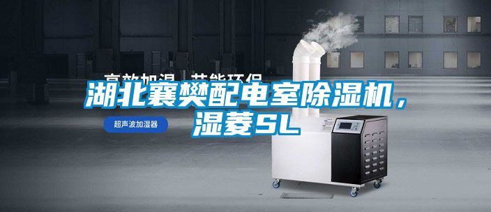 湖北襄樊配電室除濕機，濕菱SL