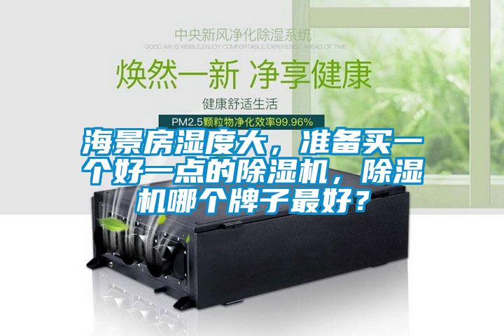 海景房濕度大，準備買一個好一點的除濕機，除濕機哪個牌子最好？
