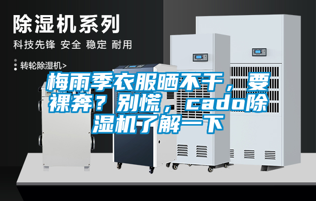 梅雨季衣服曬不干，要裸奔？別慌，cado除濕機了解一下