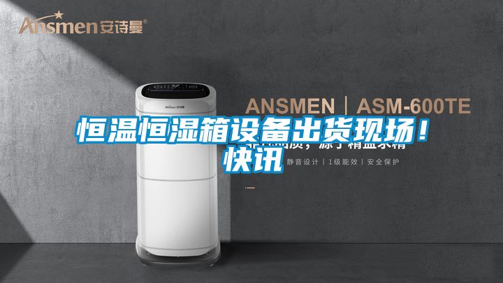 恒溫恒濕箱設(shè)備出貨現(xiàn)場！快訊