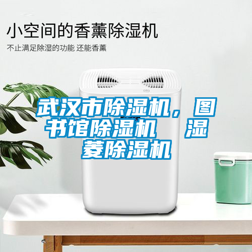 武漢市除濕機(jī)，圖書館除濕機(jī)  濕菱除濕機(jī)