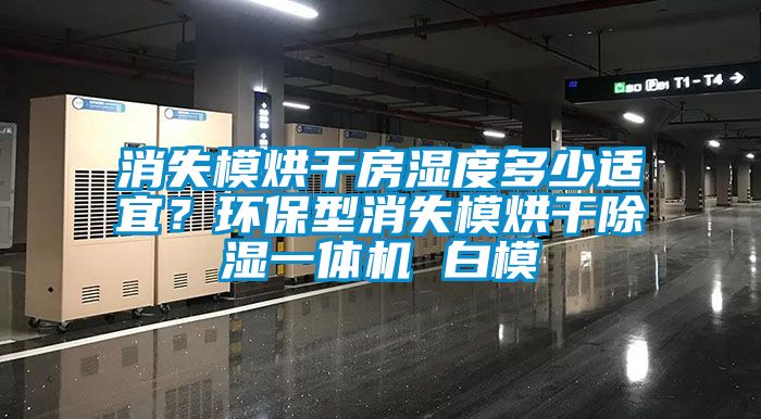消失模烘干房濕度多少適宜？環(huán)保型消失模烘干除濕一體機(jī) 白模