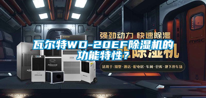 瓦爾特WD-20EF除濕機(jī)的功能特性？