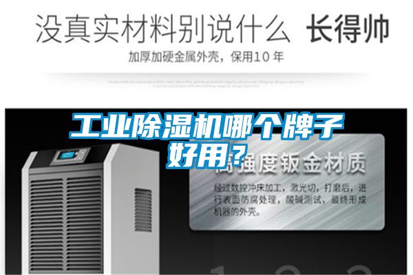 工業(yè)除濕機哪個牌子好用？
