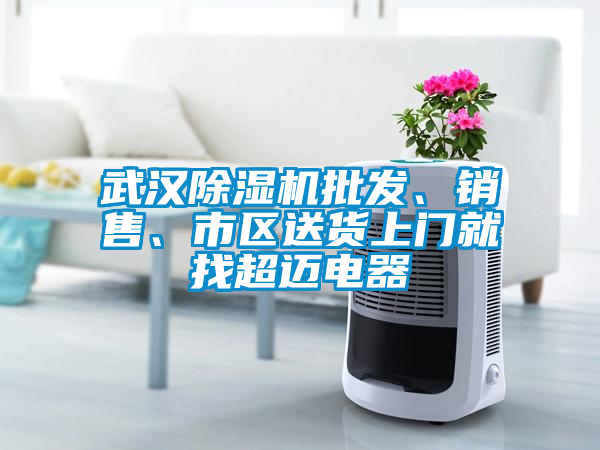 武漢除濕機(jī)批發(fā)、銷售、市區(qū)送貨上門就找超邁電器