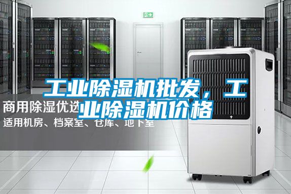 工業(yè)除濕機批發(fā)，工業(yè)除濕機價格