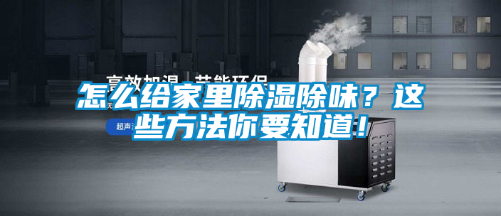 怎么給家里除濕除味？這些方法你要知道！