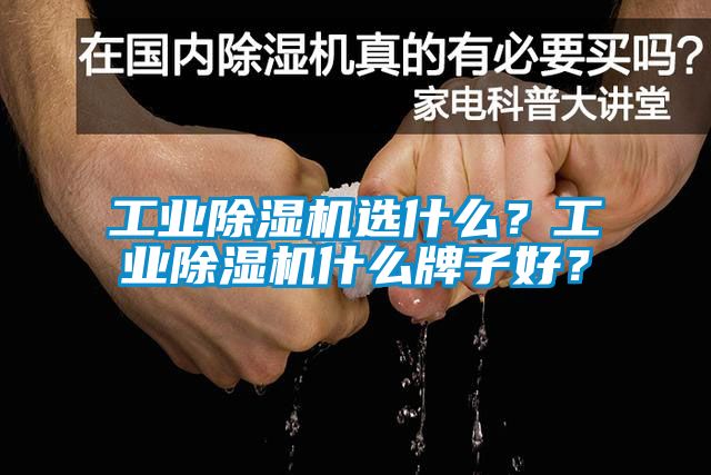 工業(yè)除濕機選什么？工業(yè)除濕機什么牌子好？