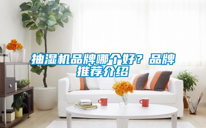 抽濕機品牌哪個好？品牌推薦介紹