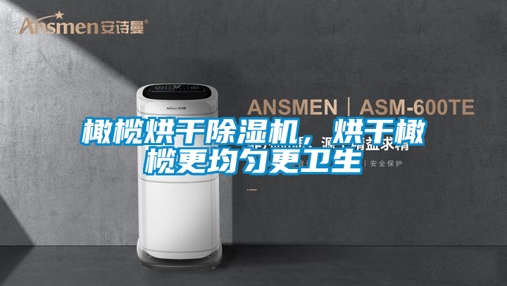 橄欖烘干除濕機(jī)，烘干橄欖更均勻更衛(wèi)生