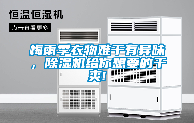梅雨季衣物難干有異味，除濕機給你想要的干爽!