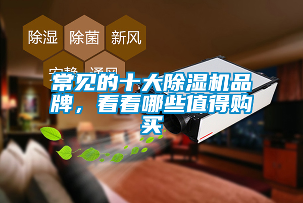常見的十大除濕機品牌，看看哪些值得購買