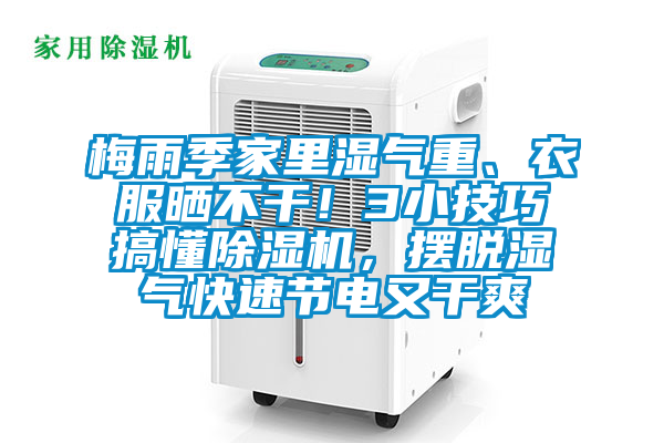 梅雨季家里濕氣重、衣服曬不干！3小技巧搞懂除濕機(jī)，擺脫濕氣快速節(jié)電又干爽