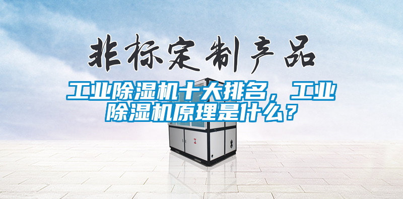 工業(yè)除濕機十大排名，工業(yè)除濕機原理是什么？