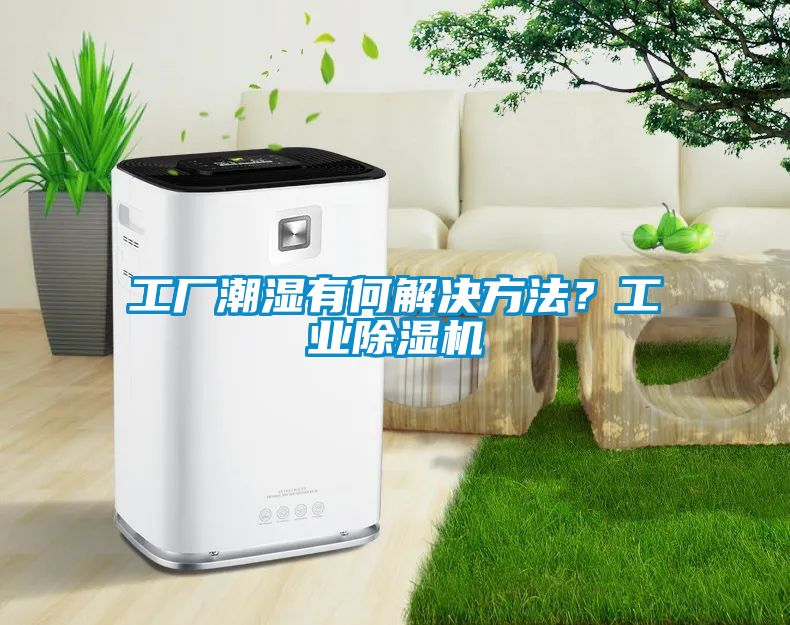 工廠潮濕有何解決方法？工業(yè)除濕機(jī)