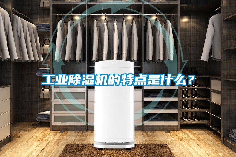 工業(yè)除濕機(jī)的特點是什么？