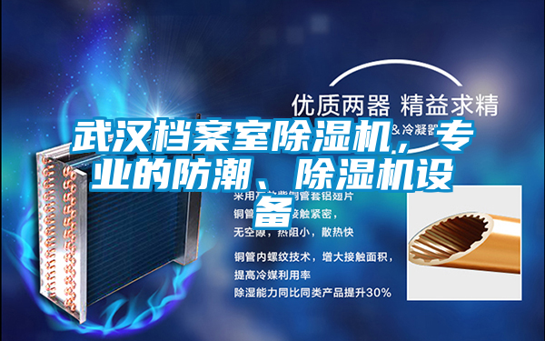武漢檔案室除濕機(jī)，專業(yè)的防潮、除濕機(jī)設(shè)備