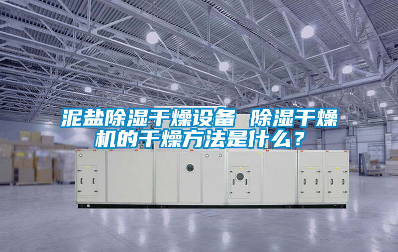 泥鹽除濕干燥設(shè)備 除濕干燥機(jī)的干燥方法是什么？