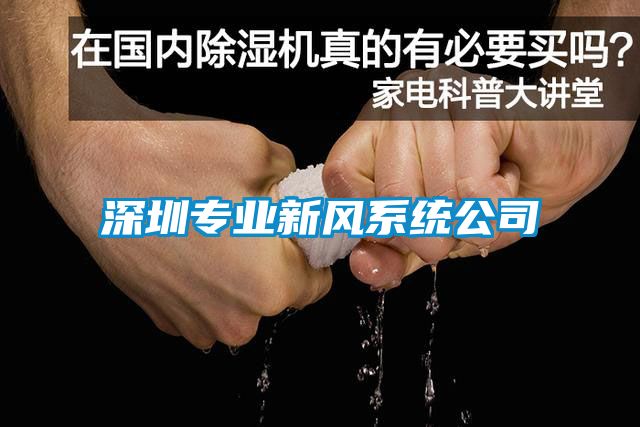 深圳專(zhuān)業(yè)新風(fēng)系統(tǒng)公司