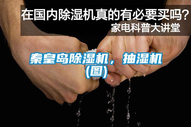 秦皇島除濕機(jī)，抽濕機(jī)(圖)