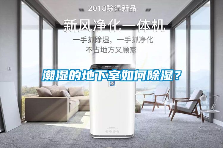 潮濕的地下室如何除濕？