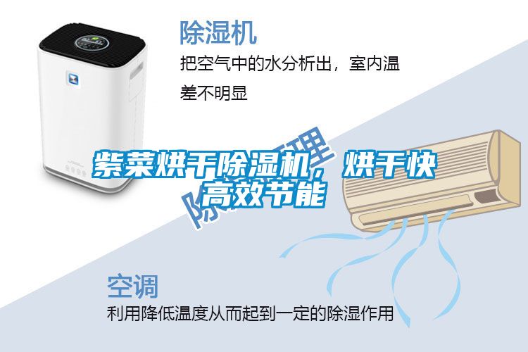 紫菜烘干除濕機(jī)，烘干快高效節(jié)能