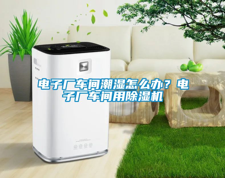 電子廠車間潮濕怎么辦？電子廠車間用除濕機