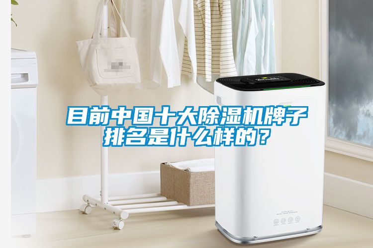 目前中國(guó)十大除濕機(jī)牌子排名是什么樣的？