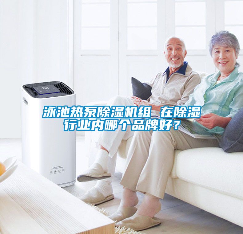泳池?zé)岜贸凉駲C(jī)組 在除濕行業(yè)內(nèi)哪個(gè)品牌好？