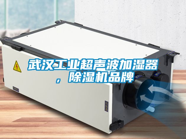 武漢工業(yè)超聲波加濕器，除濕機(jī)品牌