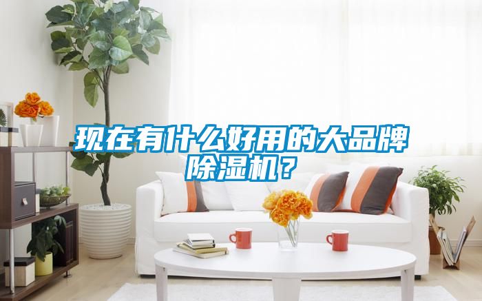 現(xiàn)在有什么好用的大品牌除濕機(jī)？
